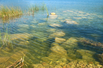 landscape with lake and trees