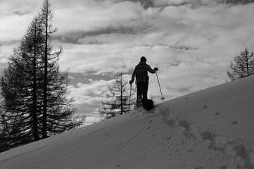 Austrian winter landscapes in black and white