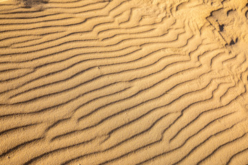 Sand on the beach forms strucktures and shapes on golden yellow fine sand background pattern holiday season summer travel vacation abstract line lines wave wavy