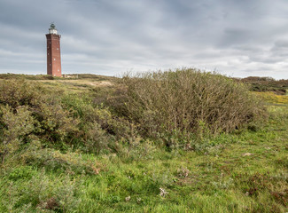 Fototapeta na wymiar Landscape with lighthouse in dune landscape in Zeeland