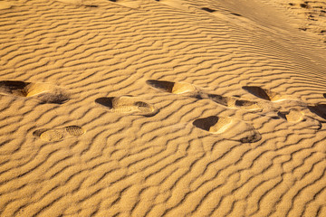 Footprint footsteps on sand on the beach forms strucktures and shapes on golden yellow fine sand background pattern holiday season summer travel vacation abstract line lines sandy nature wave wavy