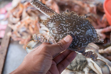 Man holding fresh crab in the msrket