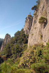 Huangshan Mountain in Anhui Province, China. Scenic view of mountain peaks, cliffs and trees in the West Sea or Xi Hai canyon on Huangshan. From the West Sea path on Huangshan Mountain, China.
