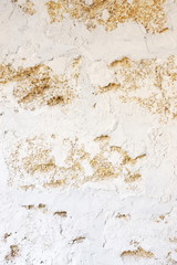 Shell limestone with chalky plaster texture