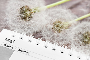 Calendar with Dandelion Pollen and German: May, Week, Monday