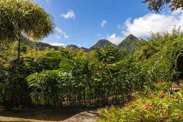 Fototapeta na wymiar Fort de France, Martinique, FWI - View to the Carbet Pitons from Balata gardens