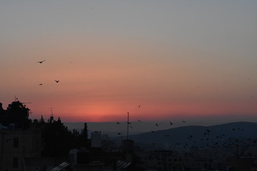 Sun setting with brids in rural area near Nablus