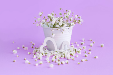 Small white flowers and hearts on a lavender background