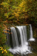 Fototapeta na wymiar Hoggs Falls on the Boyne River in Grey County Ontario with yellow Fall color