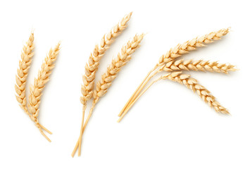 Wheat Ears Isolated On White Background