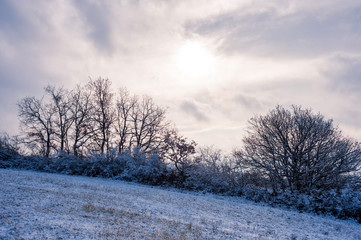 Obraz premium Landscape in winter in Burgenland
