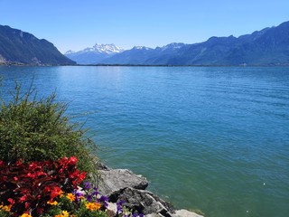 Beautiful view of the Geneva lake on a nice summer day with colorful flowers