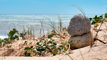 On The Beach et autour