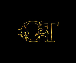 Golden C, T and CT Luxury Letter Logo Icon 