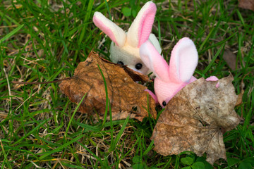Easter composition with two Bunnies who hide behind leaves