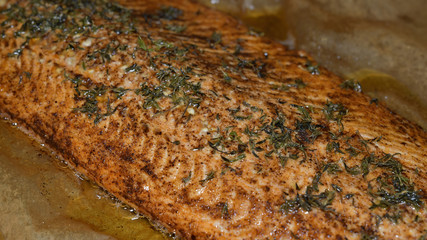 Baked salmon fish fillets with spices and Thyme