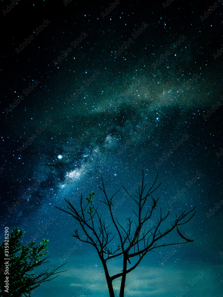 Wall mural milky way galaxy with stars and space in the universe background at thailand