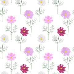 Seamless pattern Cosmea flowers watercolor botanical illustration