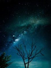 Milky way galaxy with stars and space in the universe background at thailand