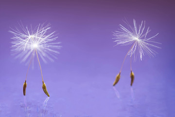 La danse est un po&egrave;me....!