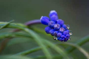 Le poid des larmes...!