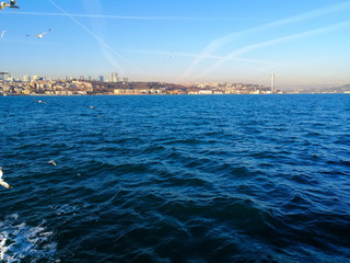 sailing ship in the sea