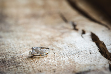 Fototapeta na wymiar Wedding Ring
