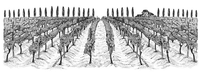 Vineyard landscape with building on the hill and trees beside. Hand drawn horizontal sketch vector illustration isolated on white