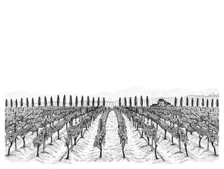 Vineyard landscape with building on the hill, mountains and trees beside. Hand drawn sketch vector illustration isolated on white