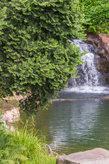 Gr&uuml;nes am Wasserfall