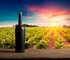 Red wine with barrel on vineyard in green Tuscany, Italy