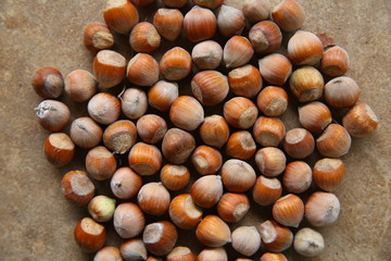 fresh hazelnuts on wooden table . Group of hazelnuts on wooden background closeup . Close up of hazelnuts on wooden table .