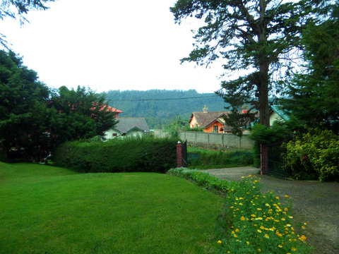 home garden landscape
