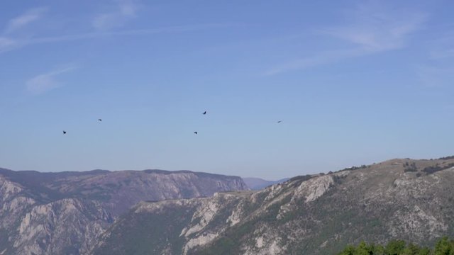 Birds flying high. Panoramic view of valley mountain peak on the background