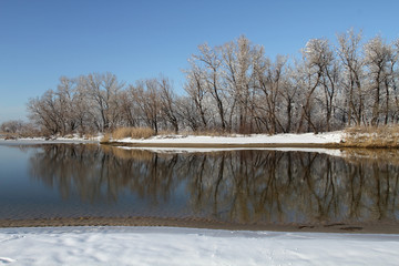 Spring shoreline bare trees in the snow are reflected in cold clear water. Melting ice and snow on...