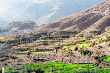Beautiful terraced fields in high Atlas mountains in Morocco