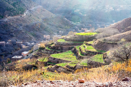 Beautiful terraced fields in high Atlas mountains in Morocco