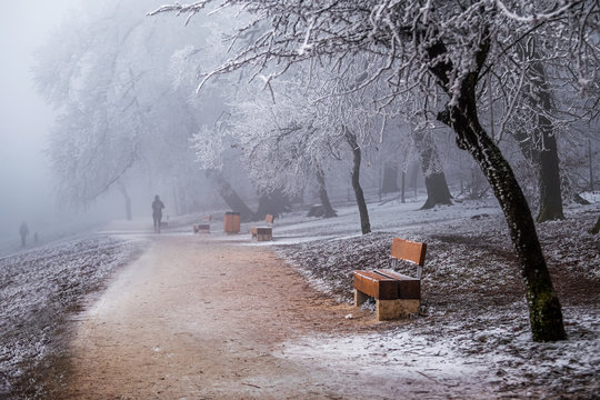 Budapest, Hungary - Beautiful foggy winter scene at Normafa with bench, snowy trees, footpath and running people at background