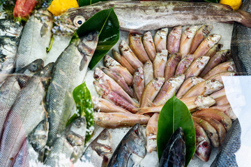 Sea bass and bream fresh fish at the market