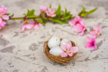 Spring conceptual photo with flowers. Flat lay blooming tree, easter eggs. The tree blooms pink and the eggs in the nest and copy space.