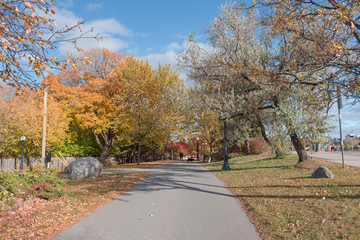 Hermoso camino en Ottawa 