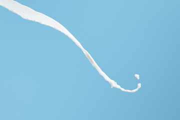 fresh white milk splash isolated on blue
