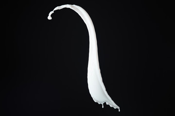 fresh white milk splash isolated on black