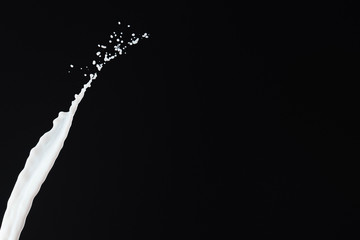Obraz na płótnie Canvas fresh white milk splash isolated on black
