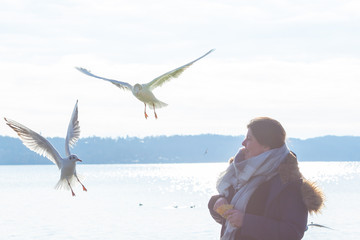 Woman feeding gulls at the lake coast in Winter time.
