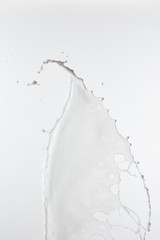 pure fresh white milk splash with drops isolated on white