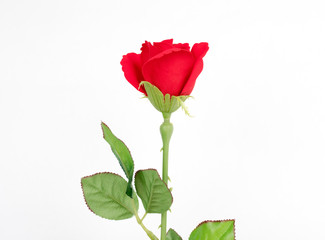 Red rose made of paper on the background