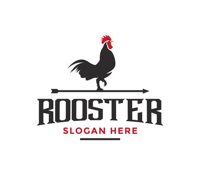 Rooster Silhouette Vector illustration. Rooster Logo Design