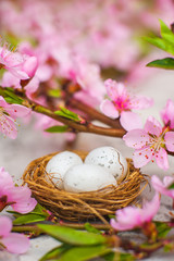 Spring conceptual photo with flowers. Flat lay blooming tree, easter eggs. The tree blooms pink and the eggs in the nest and copy space.