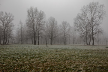 A foggy day in the city